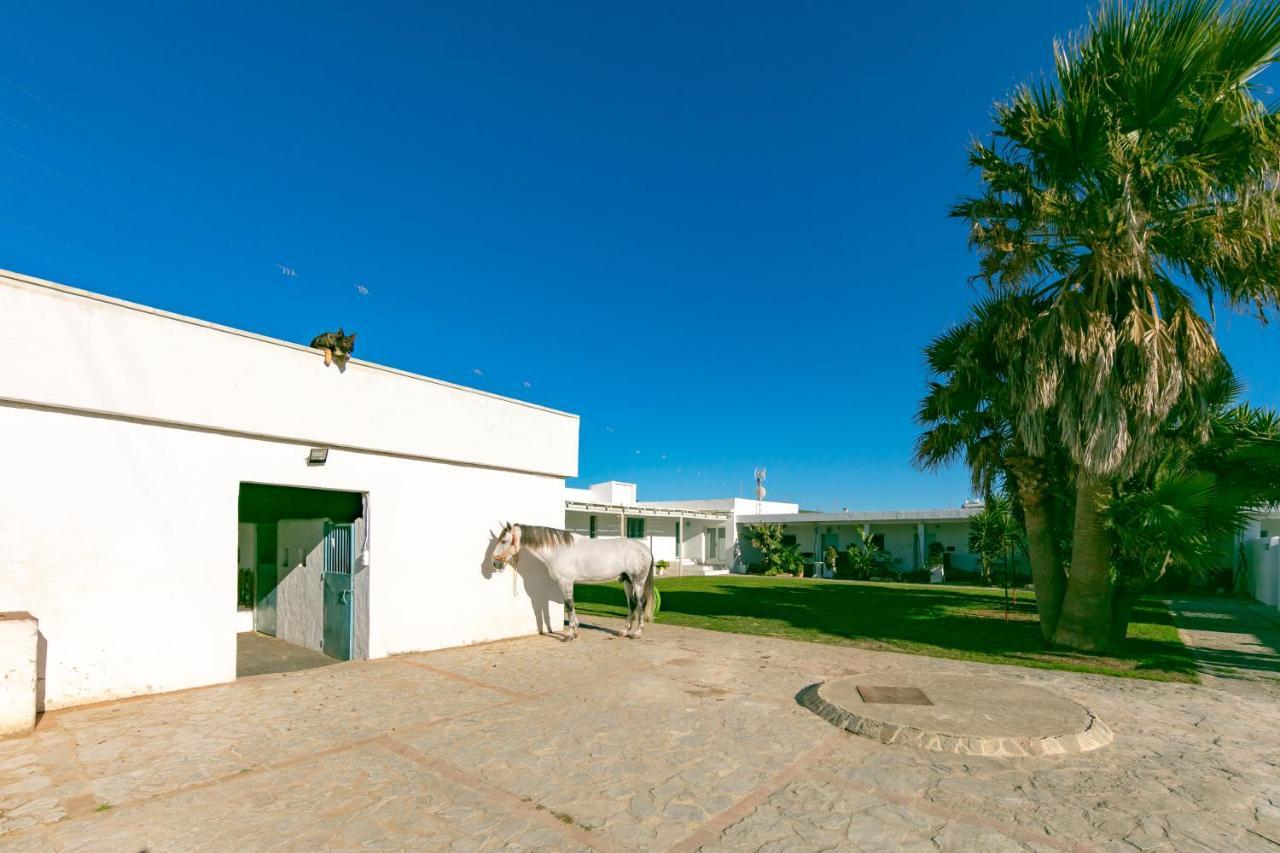 Habitaciones Rurales La Vega Tarifa Ngoại thất bức ảnh